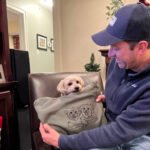 Personalized Dog Portrait Outline Embroidered Sweatshirt - Image 4